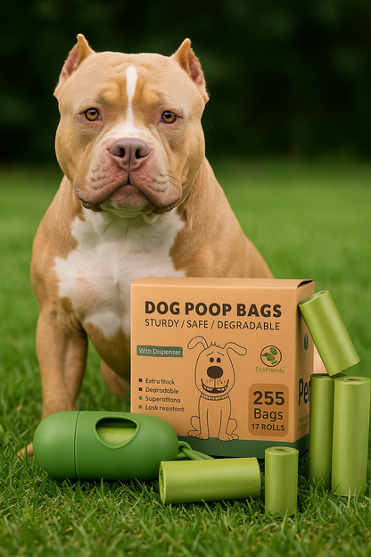Bolsas Biodegradables con dispensador