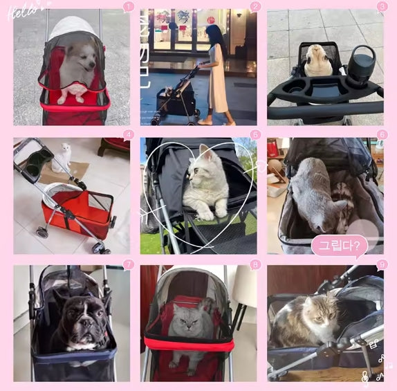 COCHE PARA MASCOTA PAWTRECK PRO